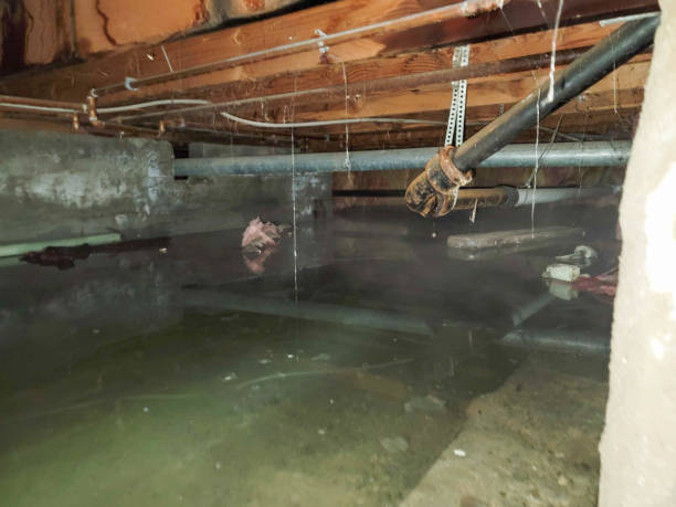 Best Basement water damage restoration  in Crosspointe, VA