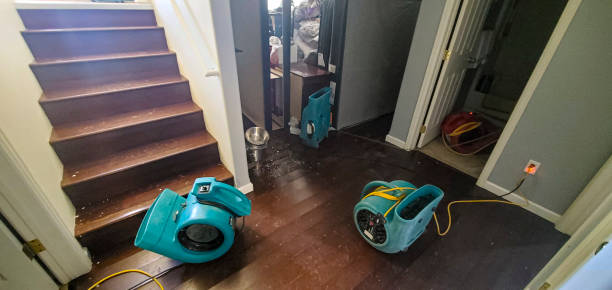Best Water damage restoration near me  in Crosspointe, VA