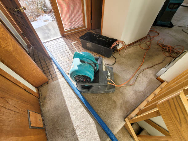 Best Water damage contractors near me  in Crosspointe, VA