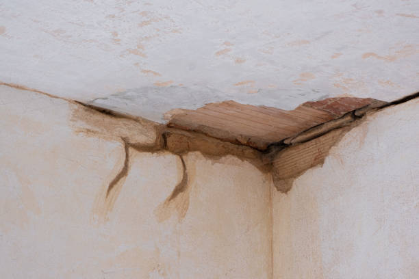 Best Ceiling water damage repair  in Crosspointe, VA
