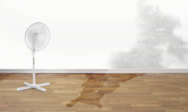 Best Water damage cleanup near me  in Crosspointe, VA