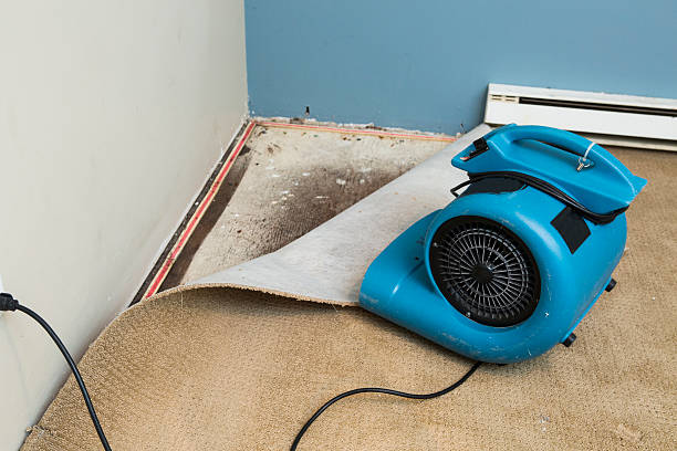 Best 24-hour water damage restoration  in Crosspointe, VA